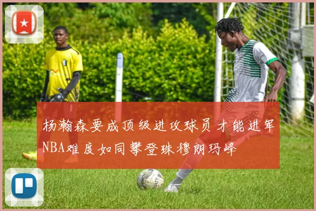 杨瀚森要成顶级进攻球员才能进军NBA难度如同攀登珠穆朗玛峰